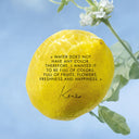 Kenzo Unisex Perfume Kenzo L'eau Pure 50 Ml