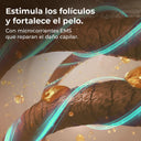 Cecotec Hair Regenerating Brush Cecotec Haircare Revitalize Aluminium