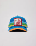Going and Going Trucker Hat