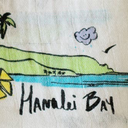 Surf Report Swaddle Blanket