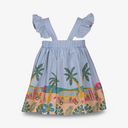 Beach Border Scenic Dress