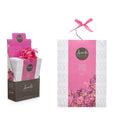 Acorde Aromatic Bags Acorde Pink Orchid (12 Units)
